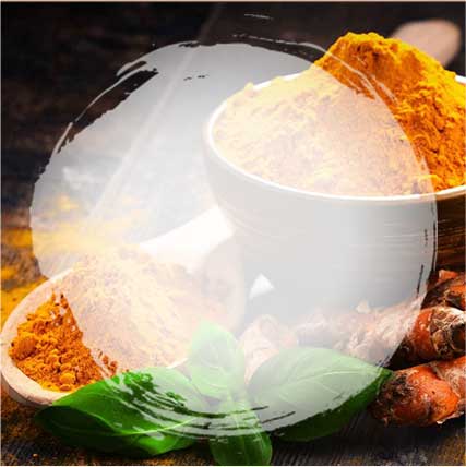 Dried And Fresh Turmeric Powder