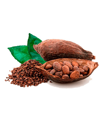 Cocoa Beans