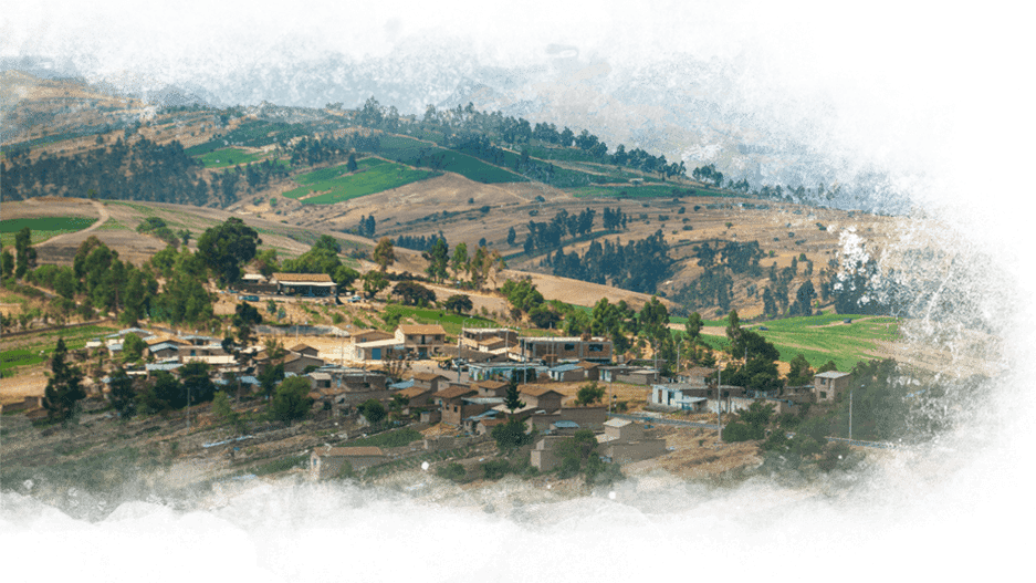 Andean Agriculture