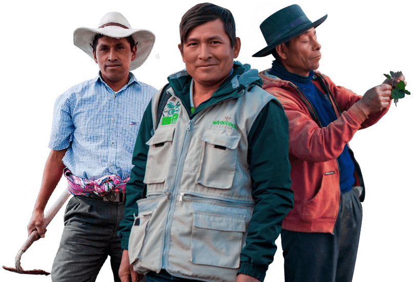 Wiracocha Peruvian Wholesalers And Agricultures